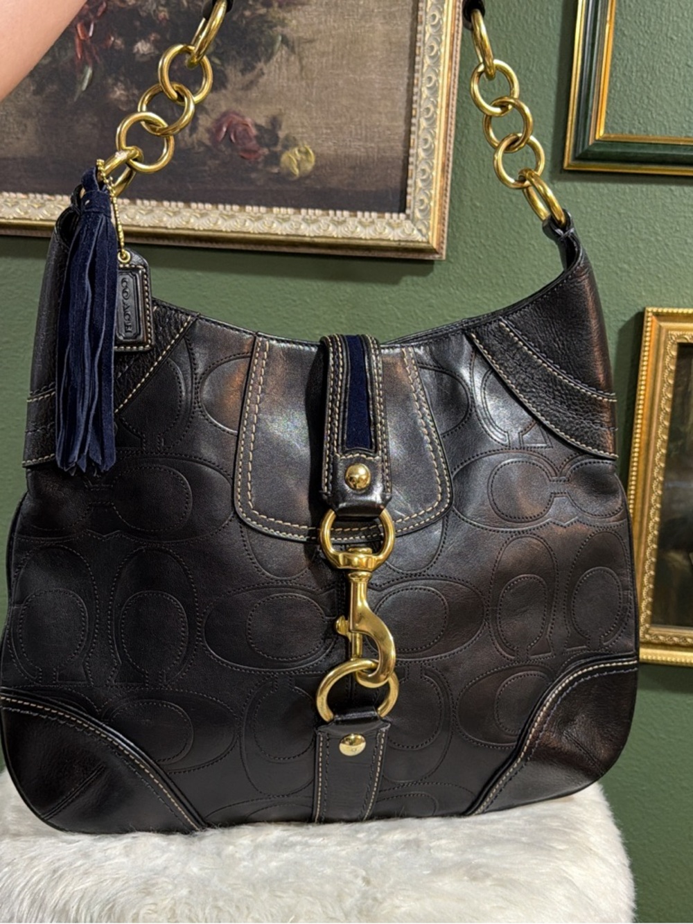 Coach Hampton Hobo Bag
